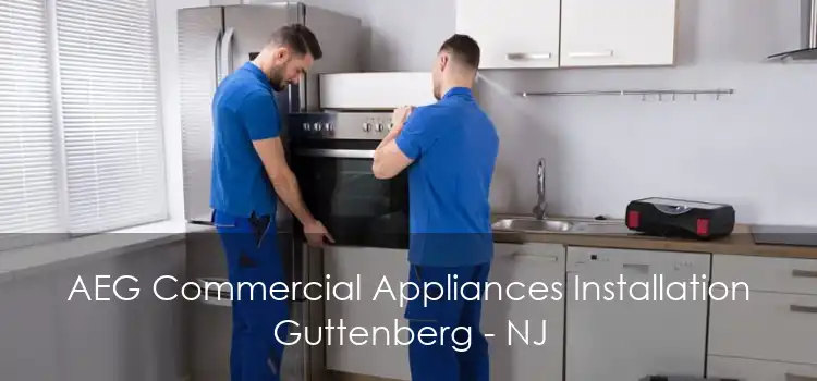 AEG Commercial Appliances Installation Guttenberg - NJ