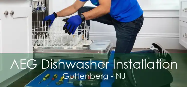 AEG Dishwasher Installation Guttenberg - NJ