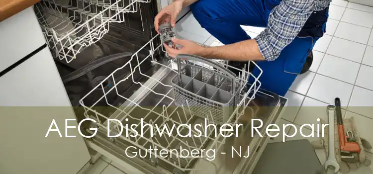 AEG Dishwasher Repair Guttenberg - NJ