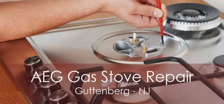 AEG Gas Stove Repair Guttenberg - NJ