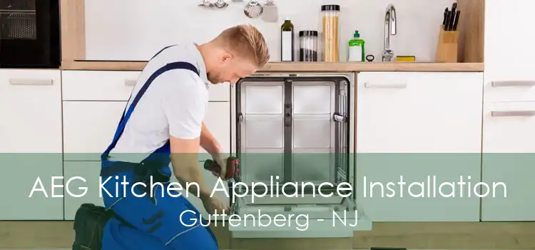 AEG Kitchen Appliance Installation Guttenberg - NJ