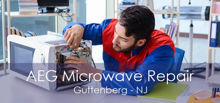 AEG Microwave Repair Guttenberg - NJ