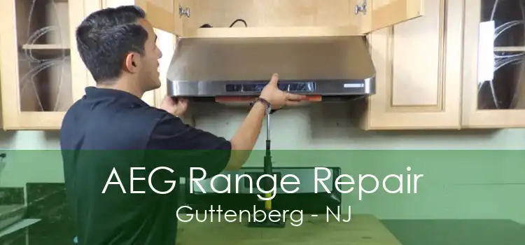 AEG Range Repair Guttenberg - NJ