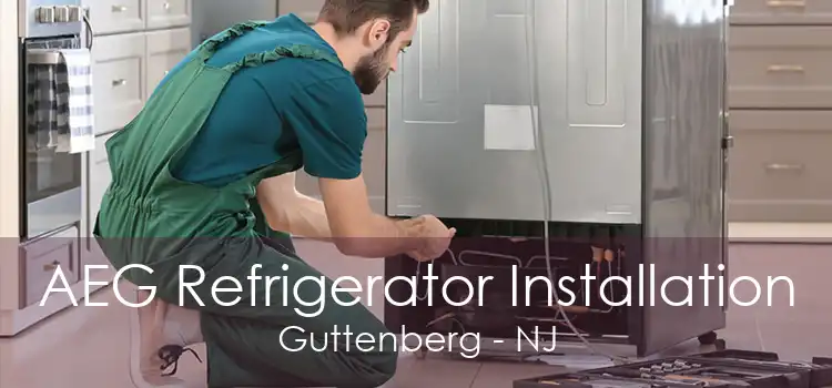 AEG Refrigerator Installation Guttenberg - NJ