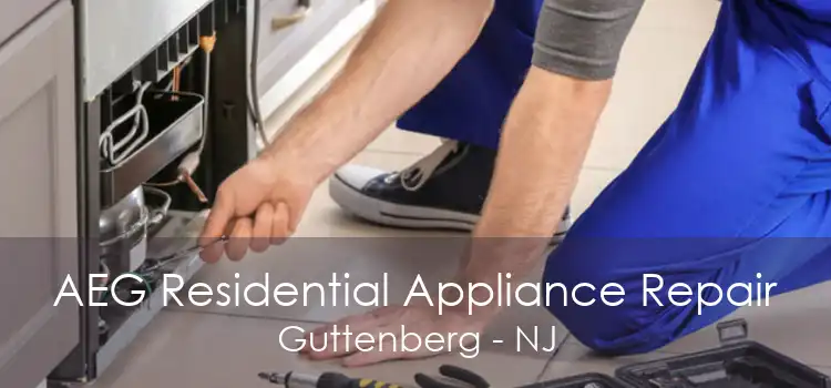 AEG Residential Appliance Repair Guttenberg - NJ