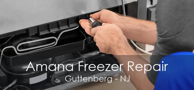 Amana Freezer Repair Guttenberg - NJ