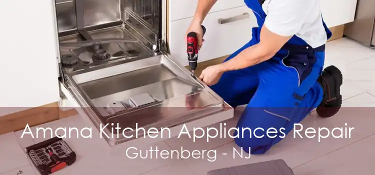 Amana Kitchen Appliances Repair Guttenberg - NJ