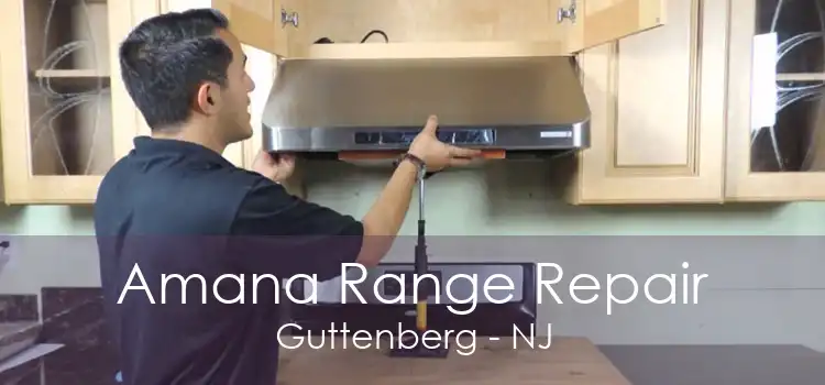 Amana Range Repair Guttenberg - NJ