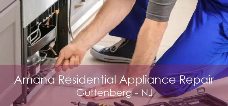 Amana Residential Appliance Repair Guttenberg - NJ