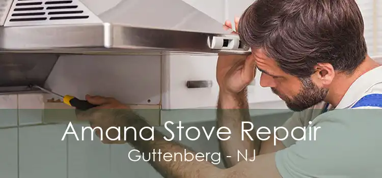 Amana Stove Repair Guttenberg - NJ