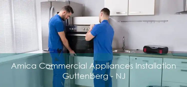 Amica Commercial Appliances Installation Guttenberg - NJ