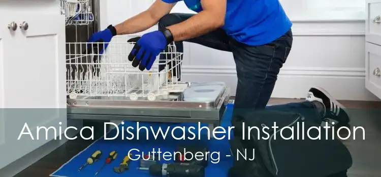 Amica Dishwasher Installation Guttenberg - NJ