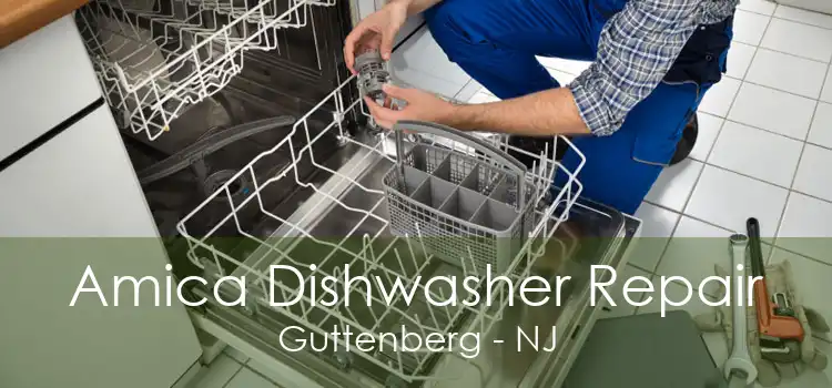 Amica Dishwasher Repair Guttenberg - NJ