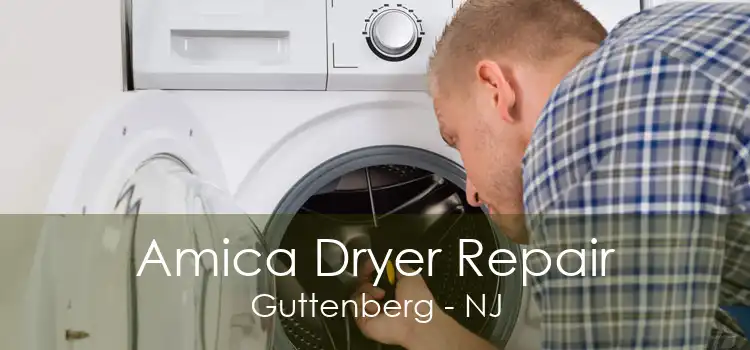 Amica Dryer Repair Guttenberg - NJ