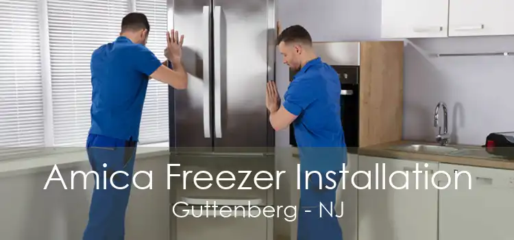 Amica Freezer Installation Guttenberg - NJ