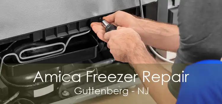 Amica Freezer Repair Guttenberg - NJ