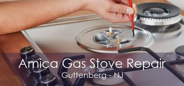 Amica Gas Stove Repair Guttenberg - NJ