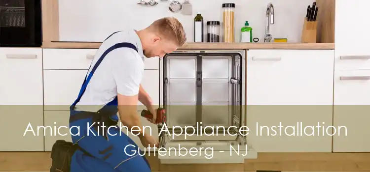 Amica Kitchen Appliance Installation Guttenberg - NJ