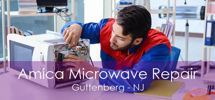 Amica Microwave Repair Guttenberg - NJ