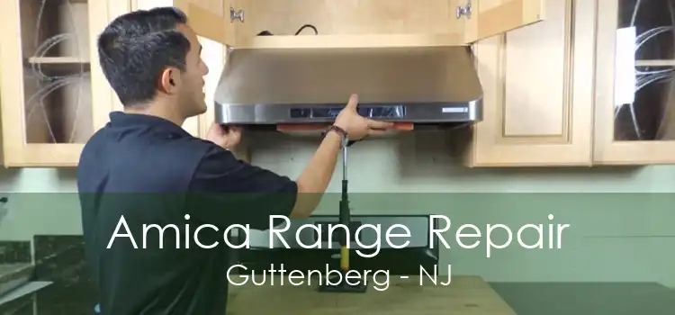 Amica Range Repair Guttenberg - NJ