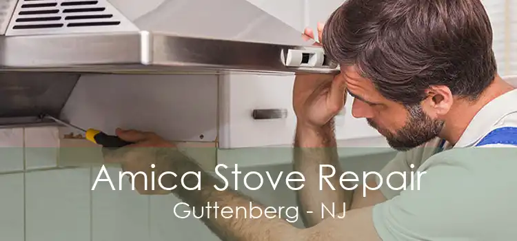 Amica Stove Repair Guttenberg - NJ