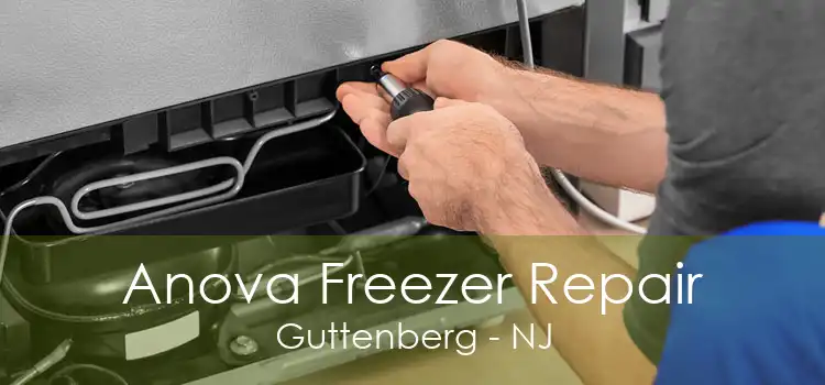 Anova Freezer Repair Guttenberg - NJ