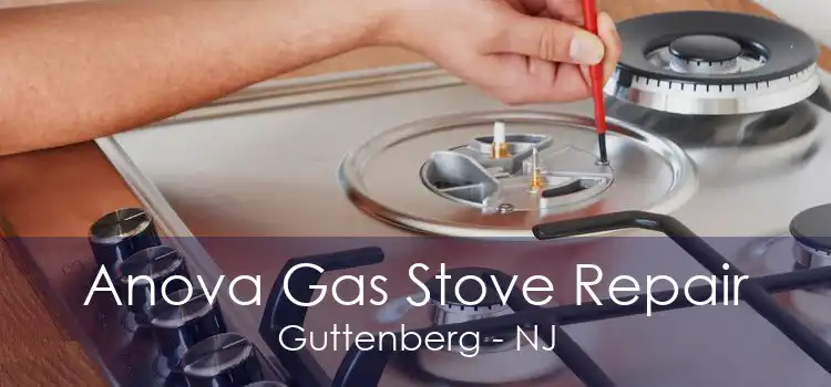 Anova Gas Stove Repair Guttenberg - NJ