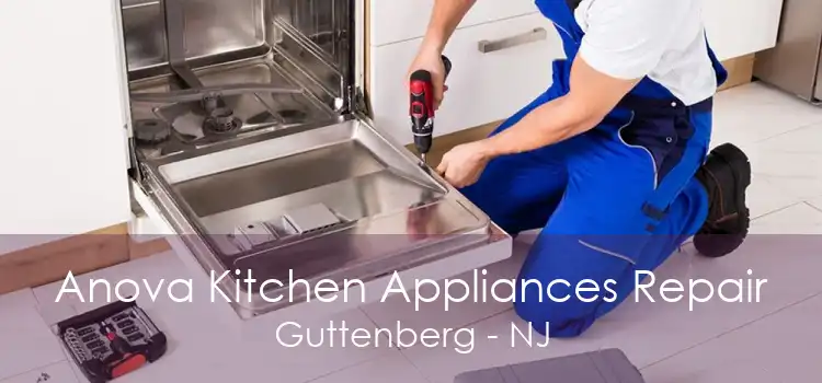 Anova Kitchen Appliances Repair Guttenberg - NJ