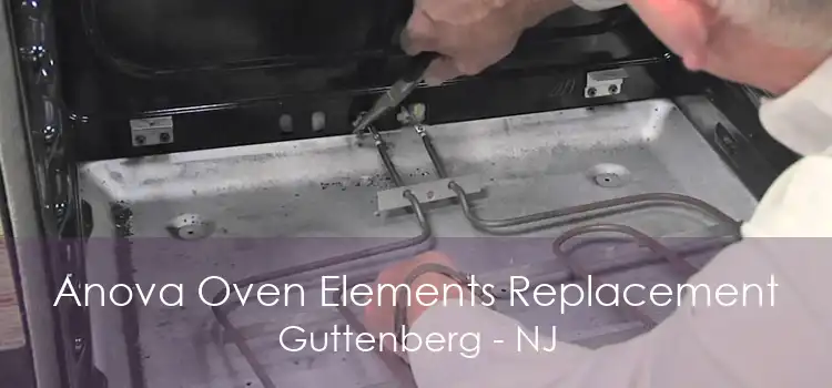 Anova Oven Elements Replacement Guttenberg - NJ