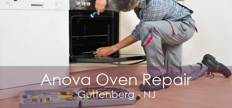 Anova Oven Repair Guttenberg - NJ