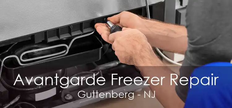 Avantgarde Freezer Repair Guttenberg - NJ