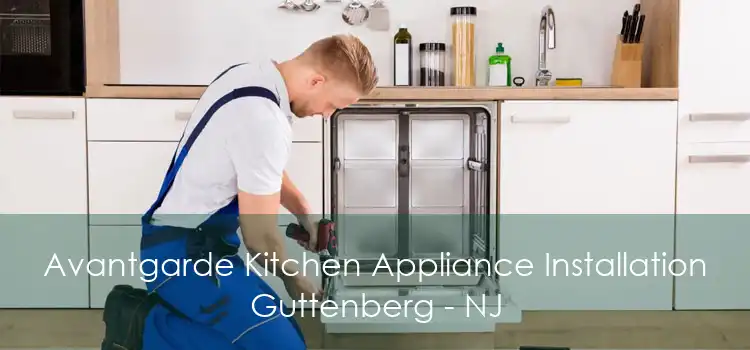 Avantgarde Kitchen Appliance Installation Guttenberg - NJ