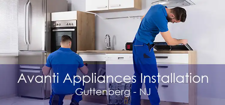 Avanti Appliances Installation Guttenberg - NJ