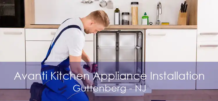 Avanti Kitchen Appliance Installation Guttenberg - NJ