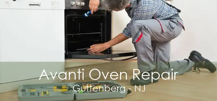 Avanti Oven Repair Guttenberg - NJ