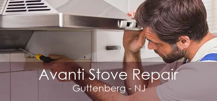 Avanti Stove Repair Guttenberg - NJ