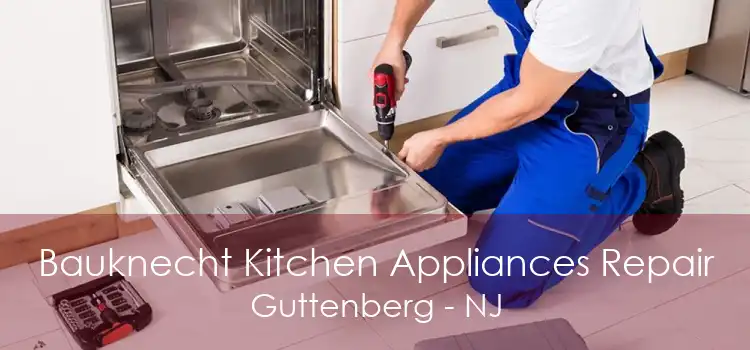 Bauknecht Kitchen Appliances Repair Guttenberg - NJ