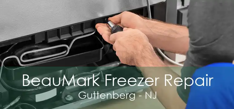 BeauMark Freezer Repair Guttenberg - NJ