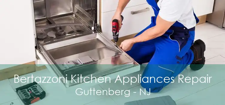 Bertazzoni Kitchen Appliances Repair Guttenberg - NJ