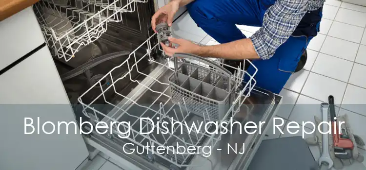 Blomberg Dishwasher Repair Guttenberg - NJ