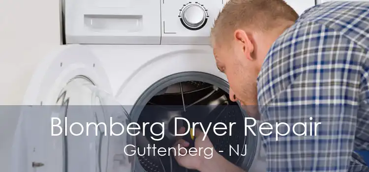 Blomberg Dryer Repair Guttenberg - NJ