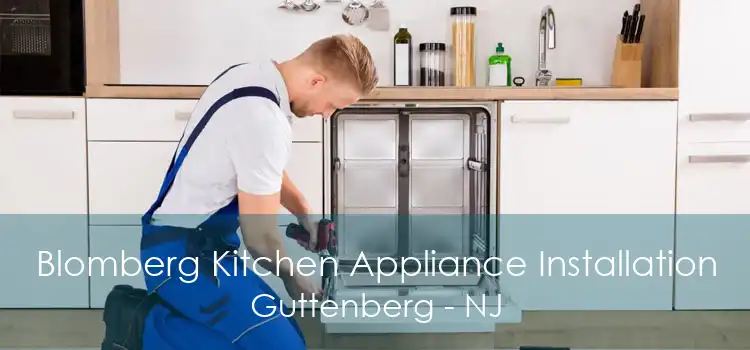 Blomberg Kitchen Appliance Installation Guttenberg - NJ