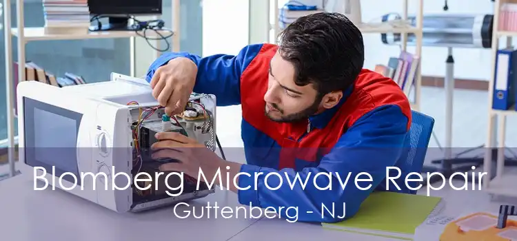 Blomberg Microwave Repair Guttenberg - NJ