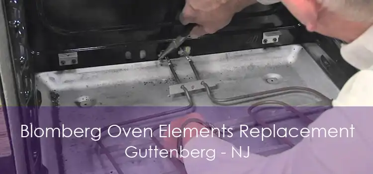 Blomberg Oven Elements Replacement Guttenberg - NJ