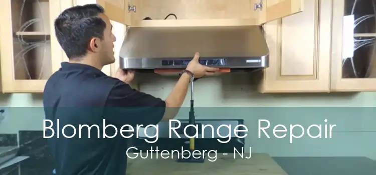 Blomberg Range Repair Guttenberg - NJ