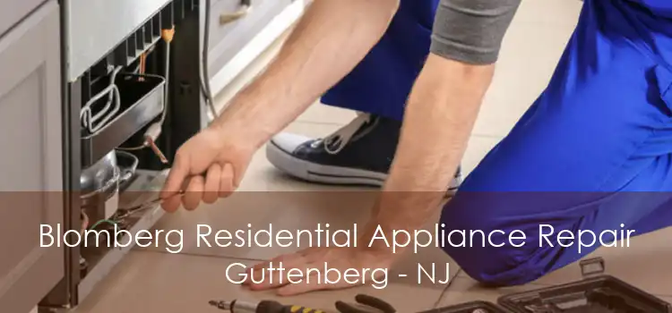 Blomberg Residential Appliance Repair Guttenberg - NJ