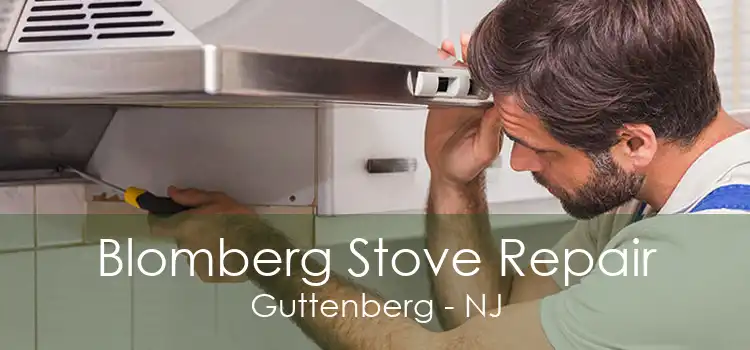 Blomberg Stove Repair Guttenberg - NJ