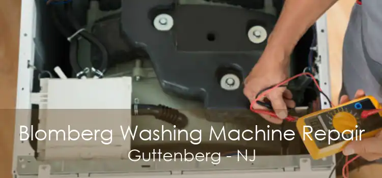 Blomberg Washing Machine Repair Guttenberg - NJ