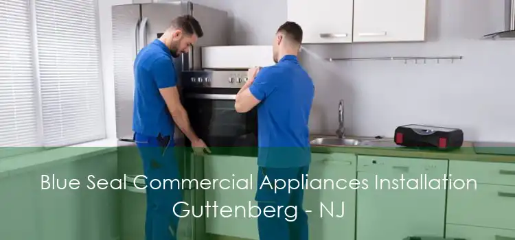 Blue Seal Commercial Appliances Installation Guttenberg - NJ