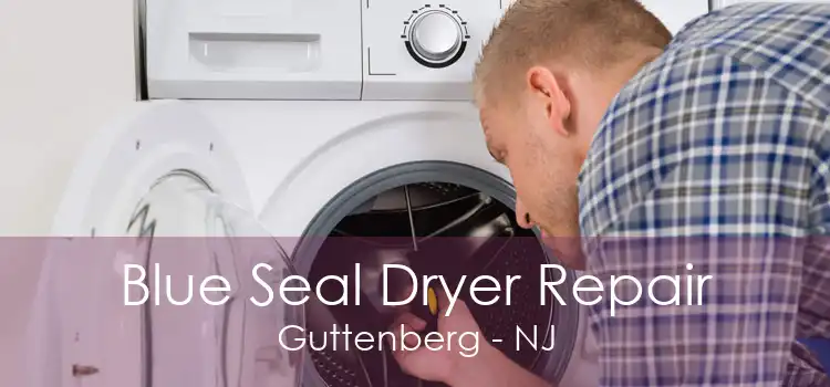 Blue Seal Dryer Repair Guttenberg - NJ